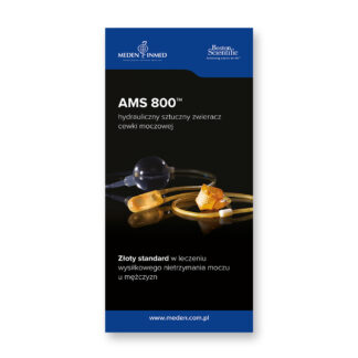Rollup Boston AMS 800 - 2023