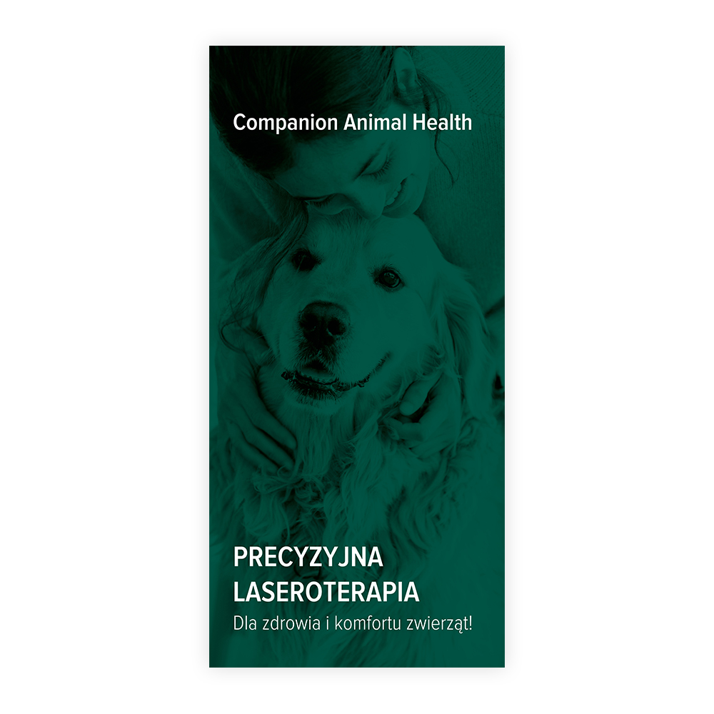 Ulotka Companion Porównanie Laserów - 3xDL 2025