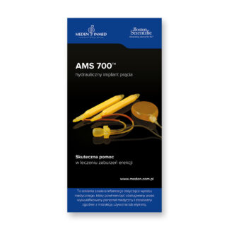 Rollup Boston AMS 700 - 2025